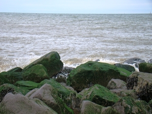 DSC01178