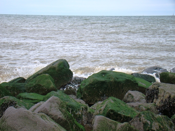 DSC01178