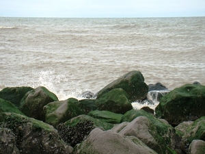 DSC01179