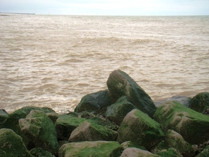 DSC01181
