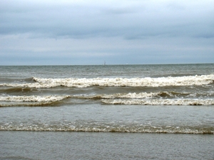 DSC01186