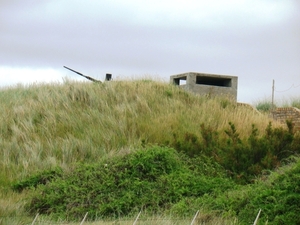 DSC01270