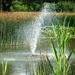 DSC01289