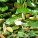 DSC01308