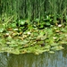 DSC01309