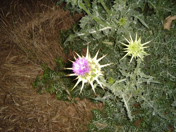20110519_10