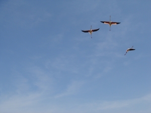 20110519_72