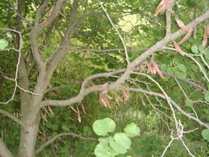20110519_150