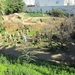 Kindergraven