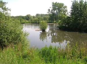 Molsbroek 1