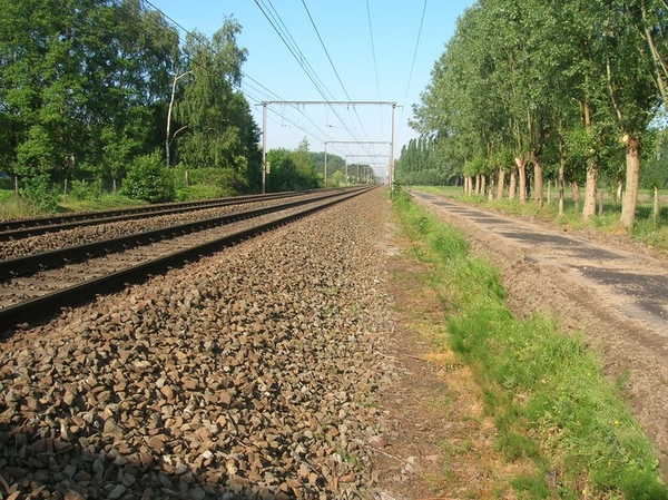 Naast de trein