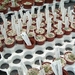 Succulent Tissue Culture Robert Wellens 6