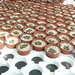 Succulent Tissue Culture Robert Wellens 12