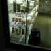 Succulent Tissue Culture Robert Wellens 15