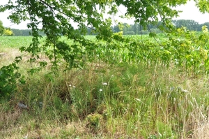 001 GA JE MEE...EEN NATUURPUNT WANDELING MAKEN ?