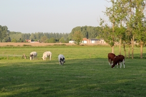 Uitwaaitocht Kav Dentergem 20-05-2011 081