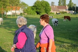 Uitwaaitocht Kav Dentergem 20-05-2011 086