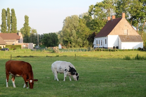 Uitwaaitocht Kav Dentergem 20-05-2011 096