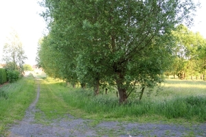 Uitwaaitocht Kav Dentergem 20-05-2011 099