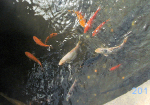 BILD0256