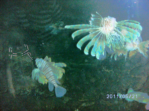 BILD0265