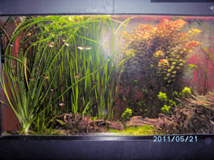 BILD0269