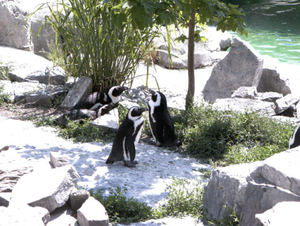 BILD0270