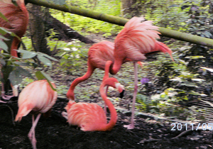 BILD0287