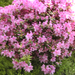 BILD0280