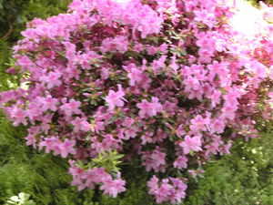 BILD0280