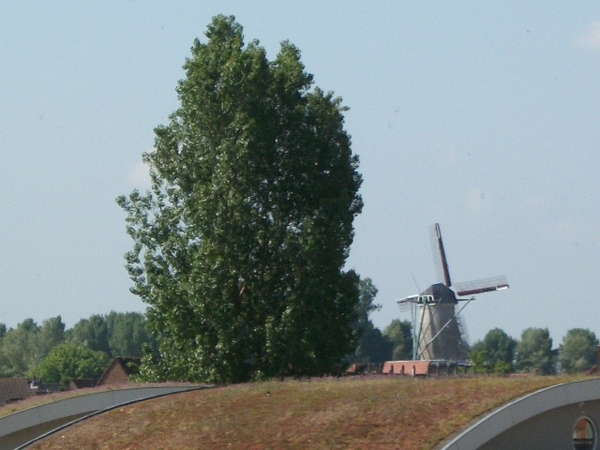 011-Zicht op de molen-De Brak-Sluis