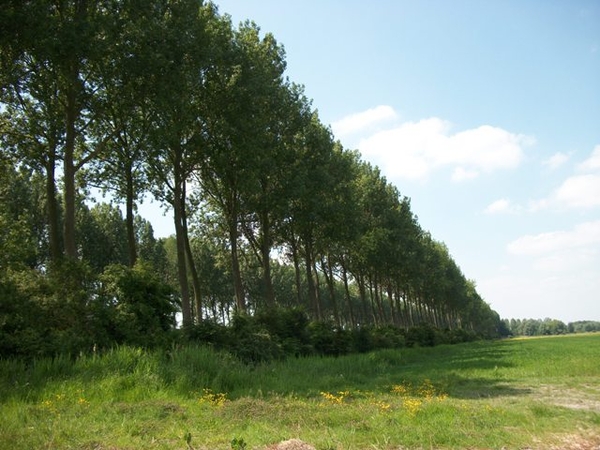 082-Richting Sluis-Brugge langs de Damse vaart