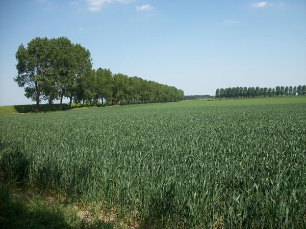 108-Het Zeeuwse landschap