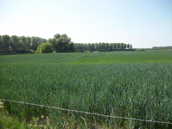 164-Natuurgebied Sluis