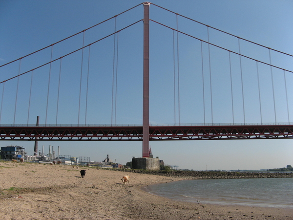 Grootste hangbrug van Duitsland