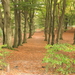 NS Herfst wandeling  Ommen naar Dalfsen (zie info)