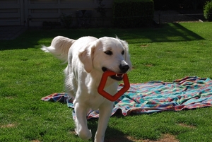 aika in de tuin_0152