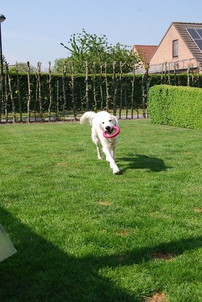 Aika 10 maand_0303
