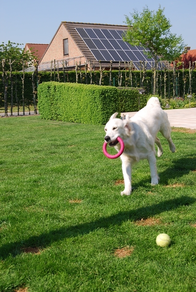 Aika 10 maand_0308