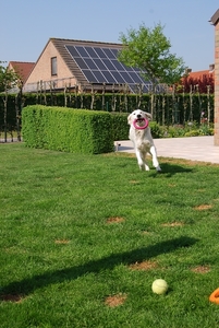 Aika 10 maand_0310