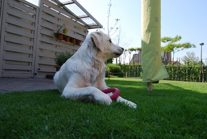 Aika 10 maand_0318