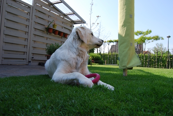 Aika 10 maand_0318