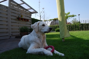 Aika 10 maand_0322