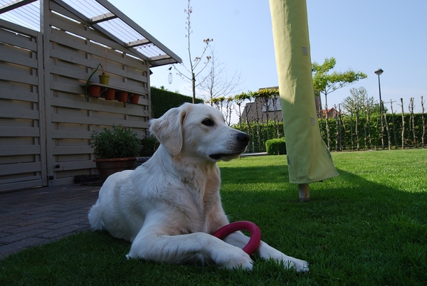 Aika 10 maand_0322