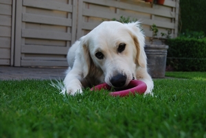 Aika 10 maand_0327
