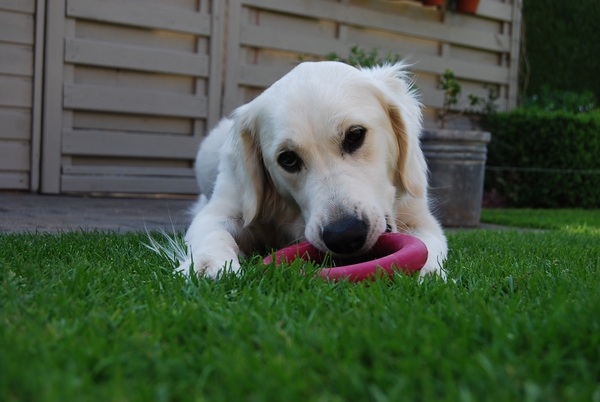 Aika 10 maand_0327