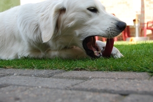 Aika 10 maand_0331