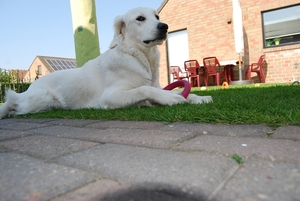 Aika 10 maand_0335