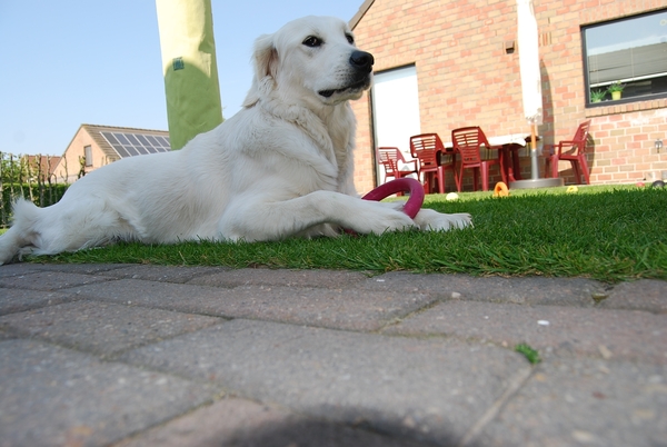 Aika 10 maand_0335