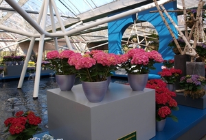 P3290617
